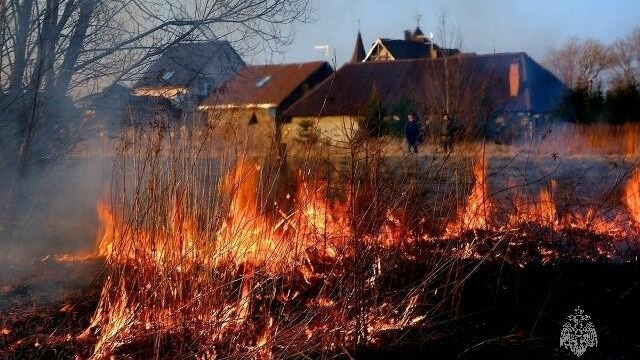 В Алтайском крае пожарные всё чаще ликвидируют травяные палы.