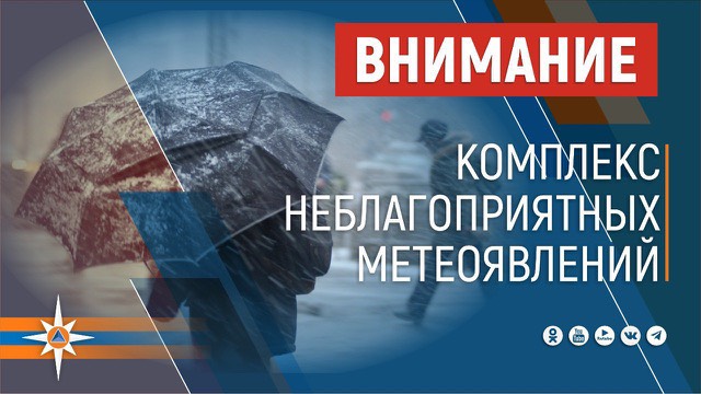 Порывы ветра до 25 метров в секунду ожидаются в Алтайском крае..