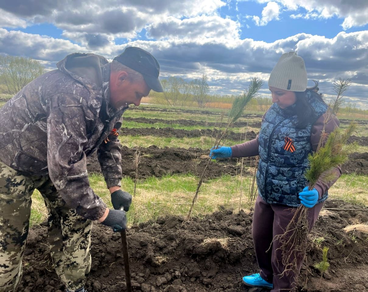 «Сад Памяти»: специалисты Отделения СФР по Алтайскому краю высадили более 600 деревьев, участвуя в Международной эколого-патриотической акции.
