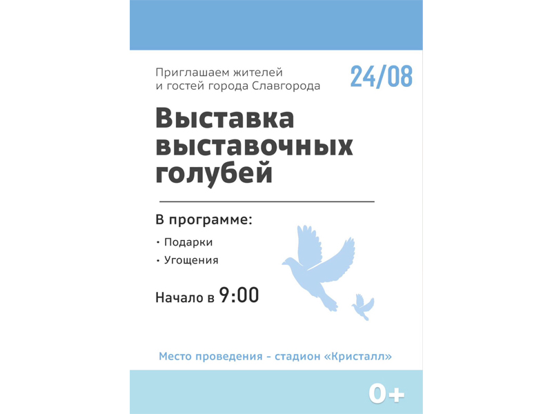 Выставка голубей состоится в Славгороде.