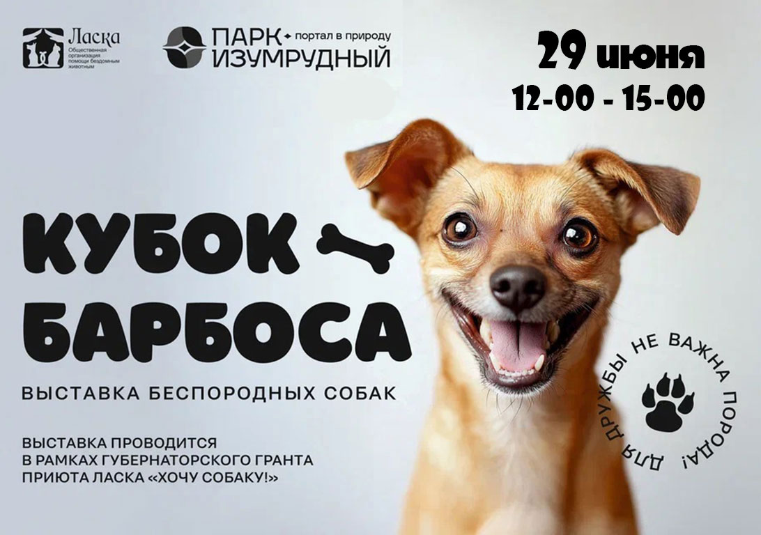 Беспородных собак покажут на ринге в парке Изумрудный!.