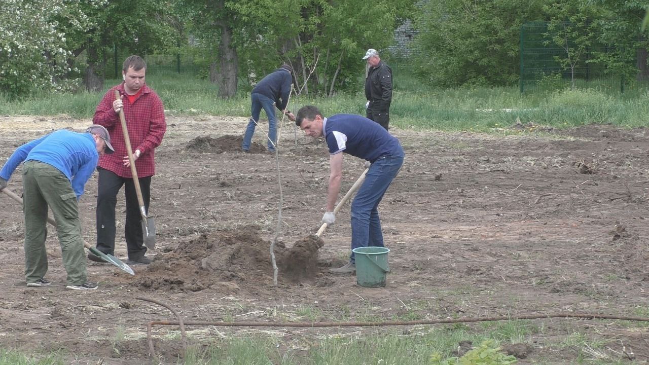 В Славгороде продолжается озеленение городского парка культуры и отдыха.