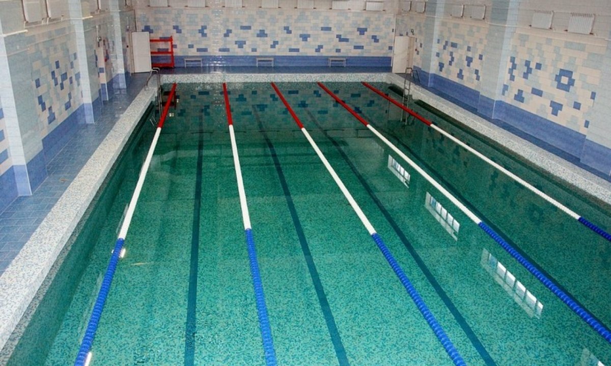 Плавательный бассейн «Дельфин».