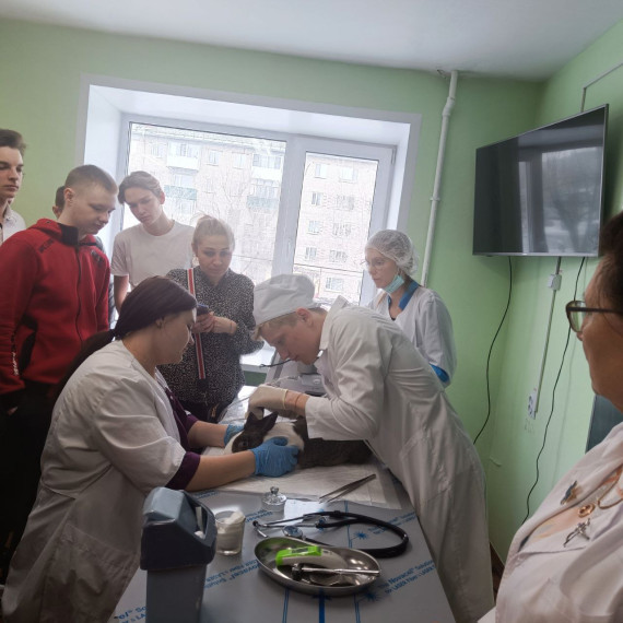ФЕСТИВАЛЬ ПРОФЕССИЙ. ФЕСТИВАЛЬ ПРОФЕССИЙ.