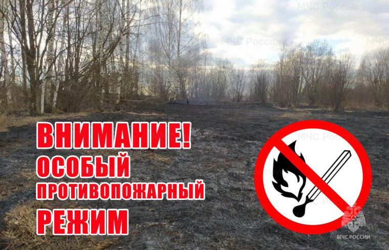 С 27 апреля 2024 года на территории Алтайского края введен особый противопожарный режим. С 27 апреля 2024 года на территории Алтайского края введен особый противопожарный режим.