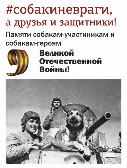 #собакиневраги, а наши друзья и защитники: приют «Ласка» напомнил о собаках-участниках Великой Отечественной войны. #собакиневраги, а наши друзья и защитники: приют «Ласка» напомнил о собаках-участниках Великой Отечественной войны.