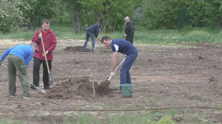 В Славгороде продолжается озеленение городского парка культуры и отдыха. В Славгороде продолжается озеленение городского парка культуры и отдыха.