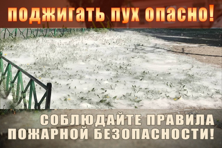 ОСТОРОЖНО!!! ТОПОЛИНЫЙ ПУХ. ОСТОРОЖНО!!! ТОПОЛИНЫЙ ПУХ.