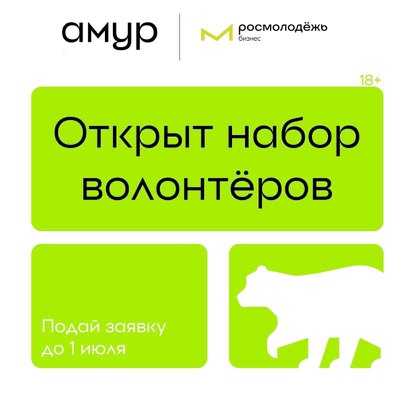 Открылся набор волонтёров на форум «Амур»линейки Росмолодёжь.События. Открылся набор волонтёров на форум «Амур»линейки Росмолодёжь.События.