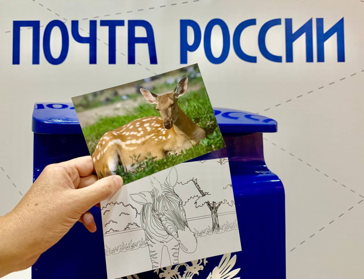 Тысячу открыток отправили по почте гости праздника «День рождения Барнаульского зоопарка». Тысячу открыток отправили по почте гости праздника «День рождения Барнаульского зоопарка».