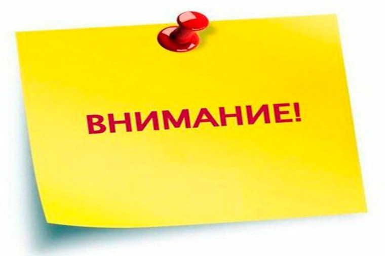 Трихинеллёз – это опасное паразитарное заболевание животных и человека.. Трихинеллёз – это опасное паразитарное заболевание животных и человека..