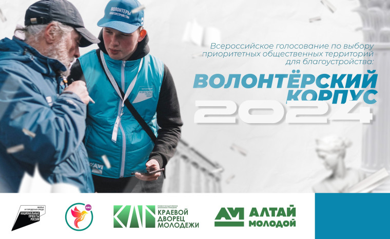 ВОЛОНТЕРЫ БЛАГОУСТРОЙСТВА. ВОЛОНТЕРЫ БЛАГОУСТРОЙСТВА.